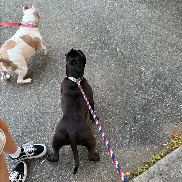 Meet your Posher, Luke - Picture 2 of 10